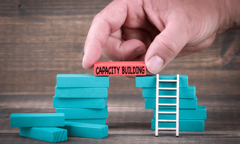 An image of blocks with a brick in the middle that says capacity building with virtual assistance.